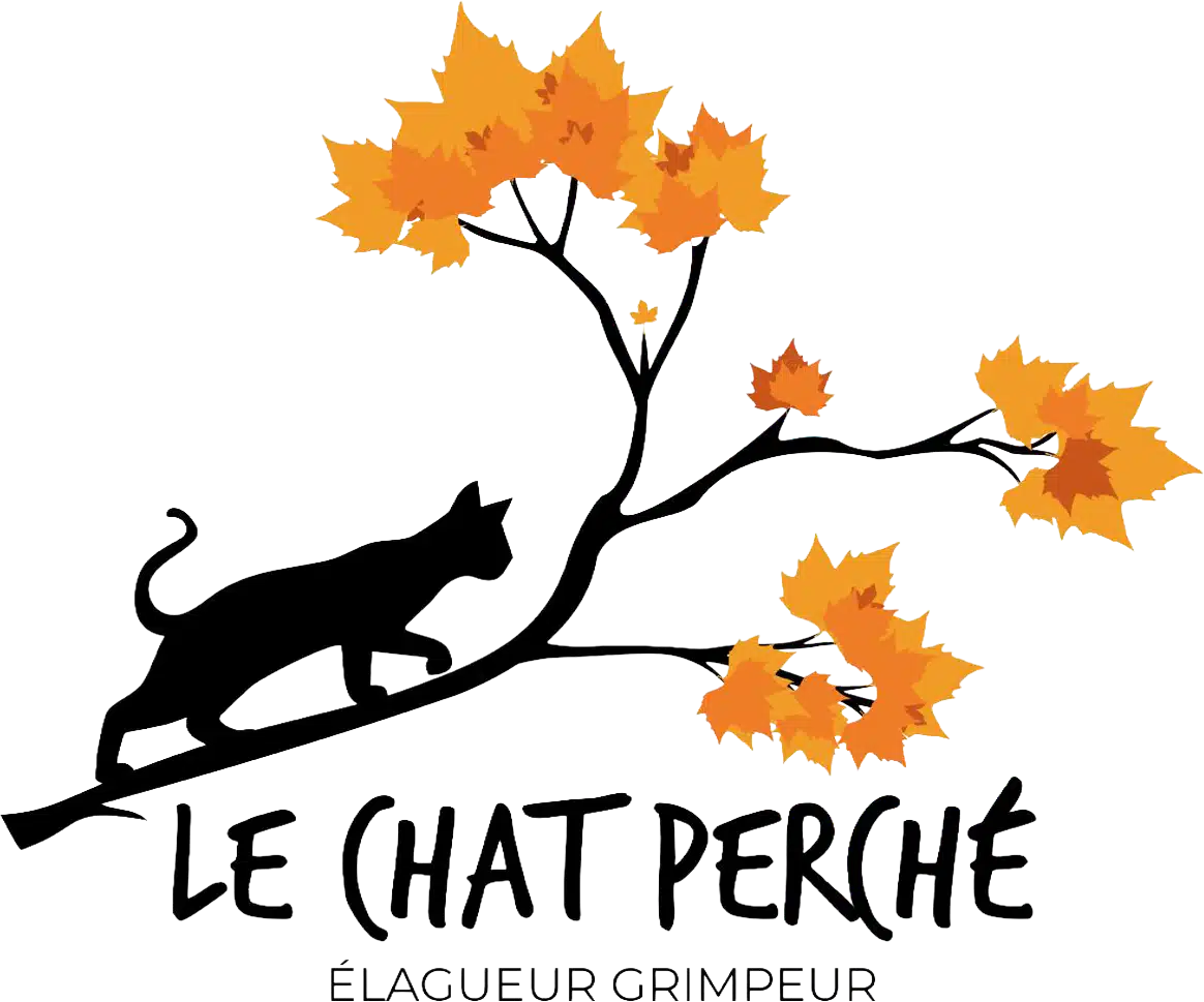 Logo le chat perché élagage - Tristan Flaven élagueur grimpeur dans la Vallée de l'Arve en Haute-Savoie (74)