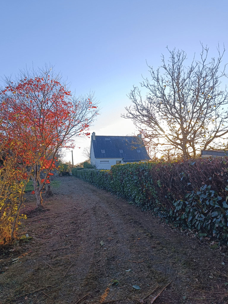 Taille de haie sur Quimper après